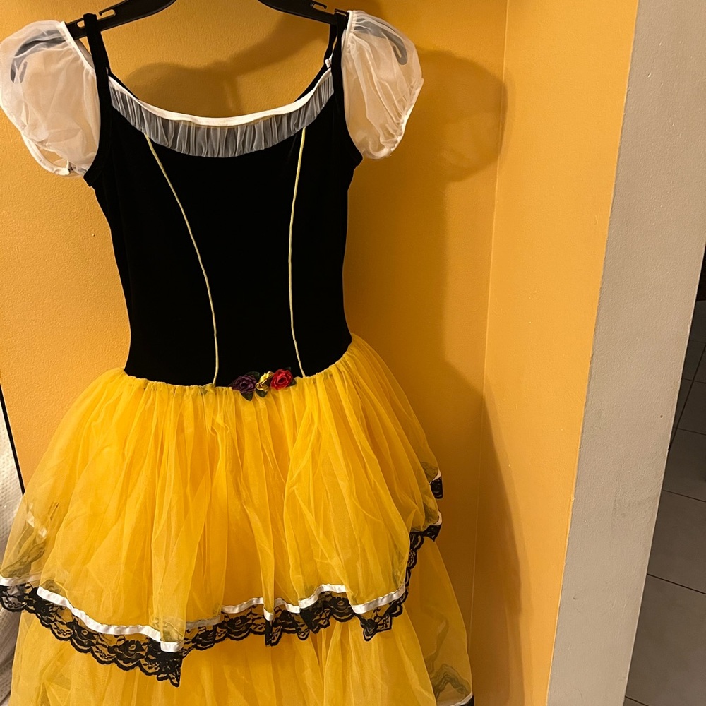 Ballet costume
